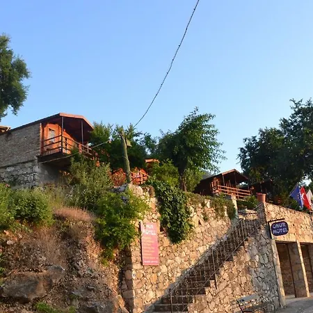 Onur 2*